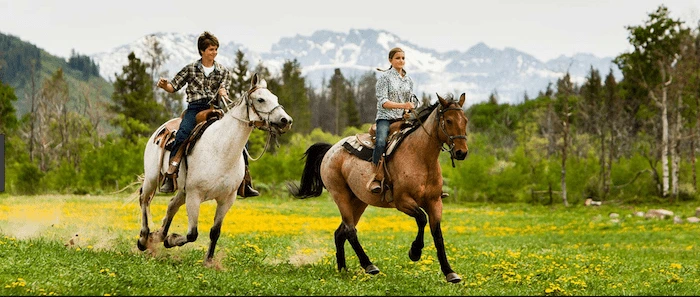 Confident plus-size woman riding Binton a horse through a field with a smile on her face.